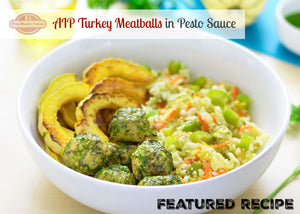 Recipe: AIP Turkey Meatballs in Pesto Sauce