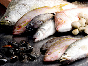 Meet Our Trusted Source for Seafood: Inland Seafood