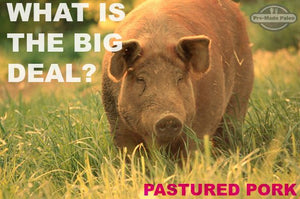 What is all this talk about pastured pork? Find out here!